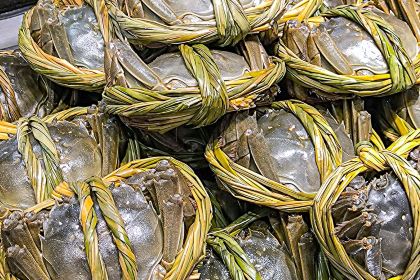 山海经(南海旗舰店)