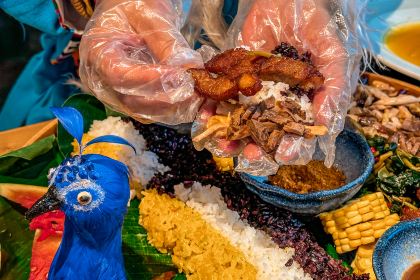 Forest Factory Party