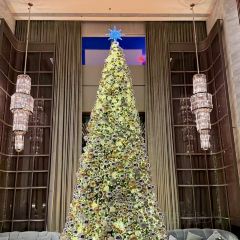 Lobby Lounge User Photo