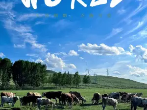 香遇·炭花烤肉·火锅农家菜