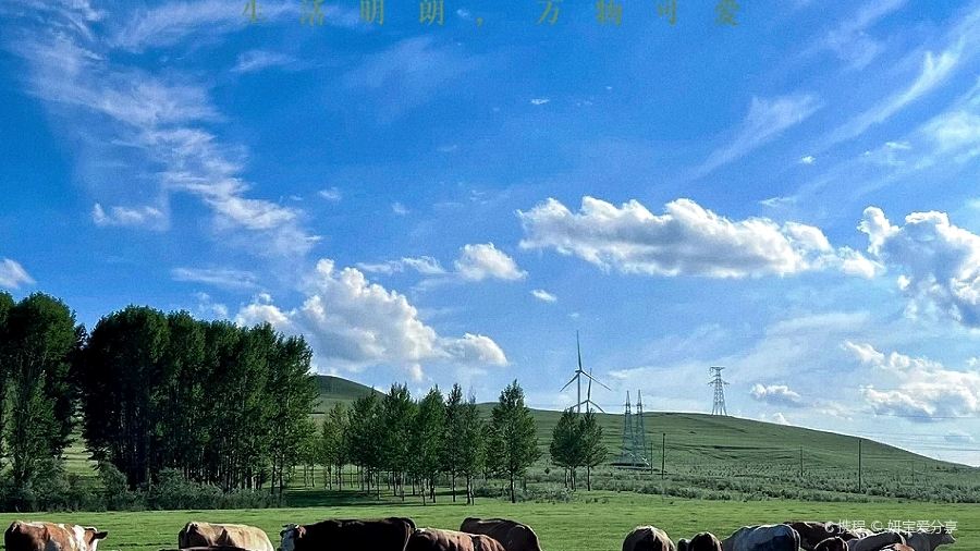 香遇·炭花烤肉·火锅农家菜