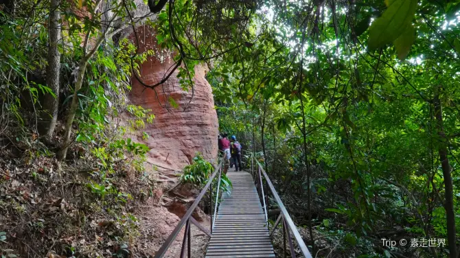 ถ้ำนาคา จ.บึงกาฬ