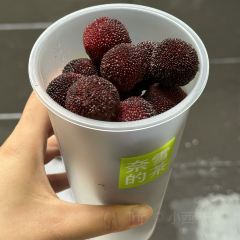 奈雪的茶(时代天街店) User Photo