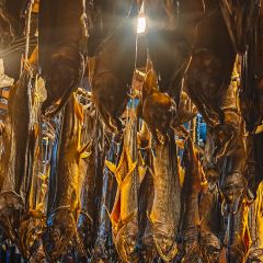 Kikkawa張用戶圖片