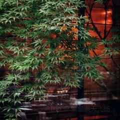 紫金山院張用戶圖片