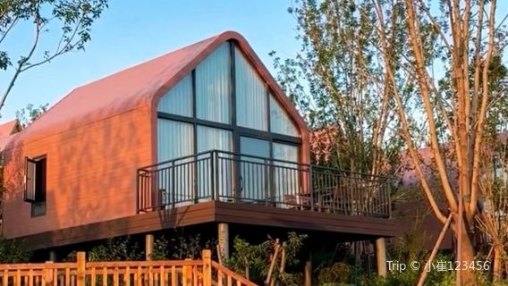 pan long hu lv ju che ying di