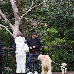 Joren Falls Tourism Center張用戶圖片