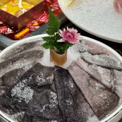 别样·东坡火锅(东坡湖广场店) User Photo