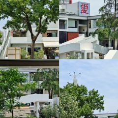 SEAFOOD SPECIAL KITCHEN User Photo