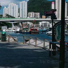 流記香港仔艇仔粉 User Photo