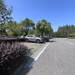 維一億江南（長興店）張用戶圖片