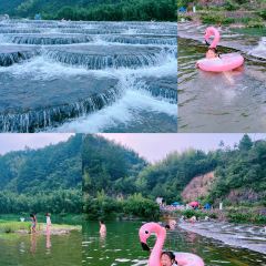 YONG XIANG TU CAI GUAN User Photo