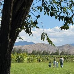 六月瓣咖啡 User Photo