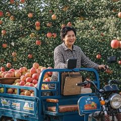 SHU LAI XIANG HUO GUO User Photo