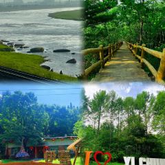 LAO YU WENG BEN GUO DUN User Photo