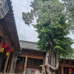 张记逍遥胡辣汤(大坑沿街店) User Photo