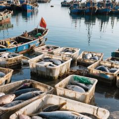 海鲜大咖(杏林西区店) User Photo