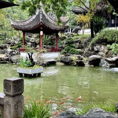 Jubilee Garden User Photo