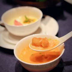 STAR OF PU User Photo