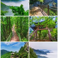 敦贤居农家乐 User Photo