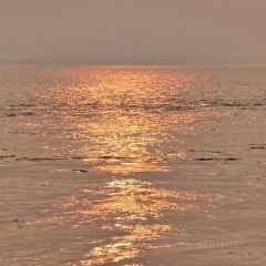 紫薇冷饮(桐乡店) User Photo