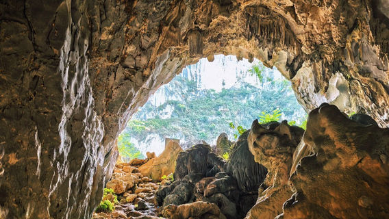 dong meng tian keng qun