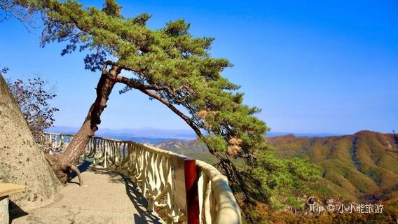 feng huang shan deng shan bu dao