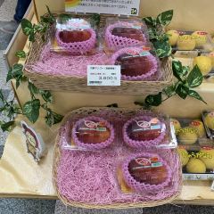 Ogura Honten User Photo