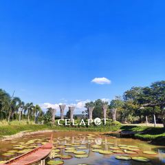 Celapot Café x Gallery เซลาพอต คาเฟ่ ครอส แกลลอรี่ ศิลาดล User Photo