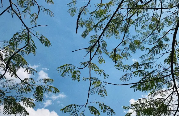 Souphailin's Restaurant