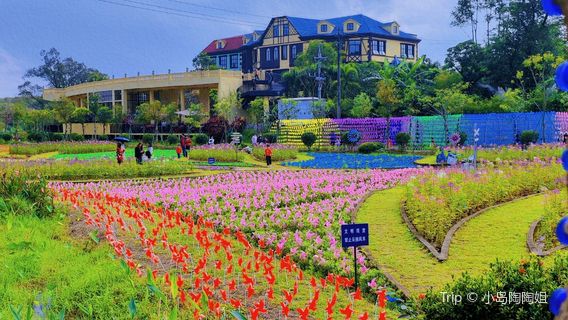 Vanilla Countryside Shared Farm