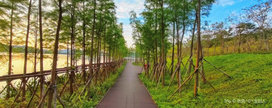 荔湖公園
