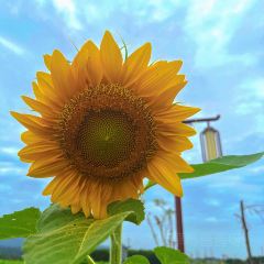 点将台庄园火锅 User Photo