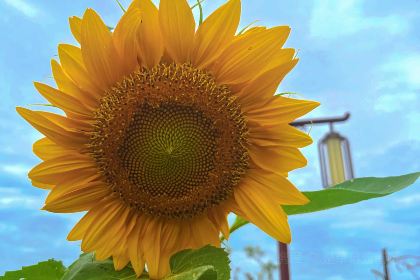 点将台庄园火锅