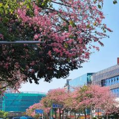 講口緣腸粉張用戶圖片