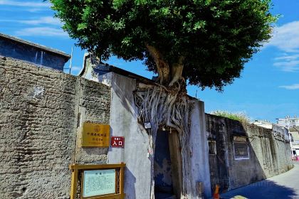 Yanjichangfen Noodles