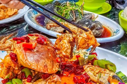 小海豚海鲜广场(清水湾店)