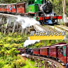 SkyHigh Mount Dandenong User Photo