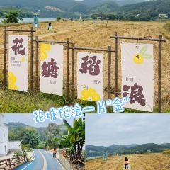 广远杏花鸡山庄 User Photo