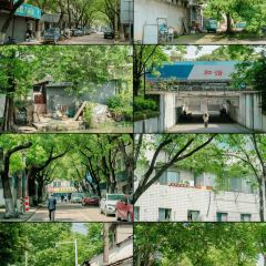 秀珍面馆·蟹面(海宁长安人民路店) User Photo