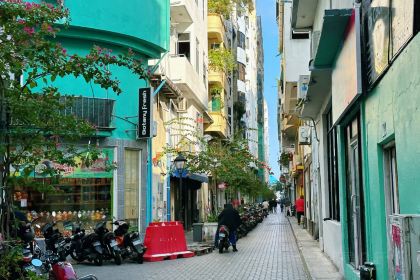 The Manhattan Fish Market