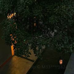 HONG YING NOSHERY User Photo