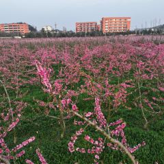 Sanshi Restaurant User Photo