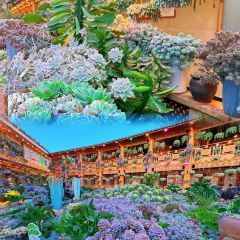 912张宜花园餐厅 User Photo
