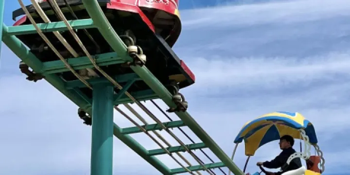 會友春•容城印象店