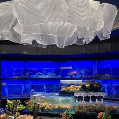 琶洲一号 User Photo