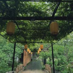 牡丹园·灵岩山房 여행 사진