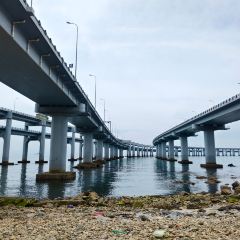 喜鼎海胆水饺(星海店) User Photo