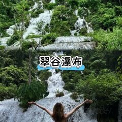 正宗苗家酸湯魚張用戶圖片