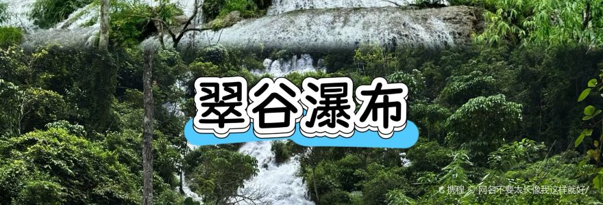 正宗苗家酸汤鱼